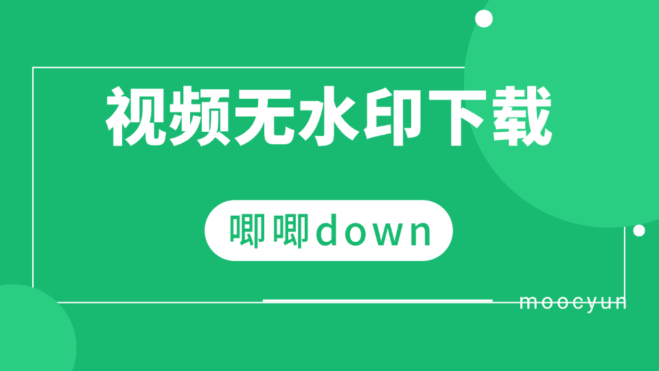 blbl视频解析技术详解，完整使用指南与搭建教程